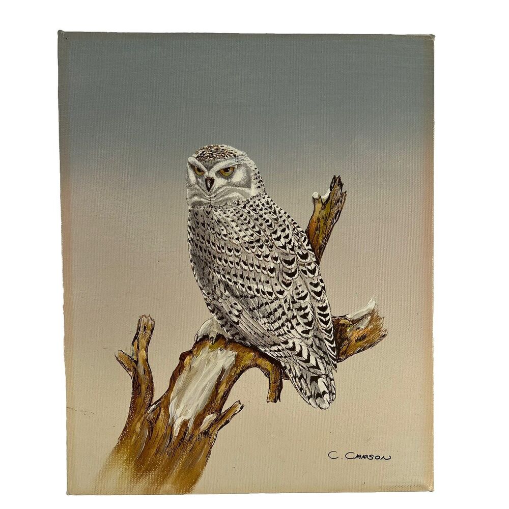 Signed C. Carson Snow OWL On Canvas Wildlife Drawing Painting Still Life 8x10